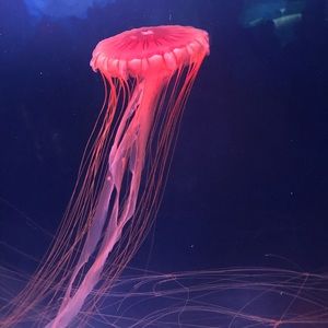 Meet your Posher, Erik